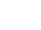 VIDA